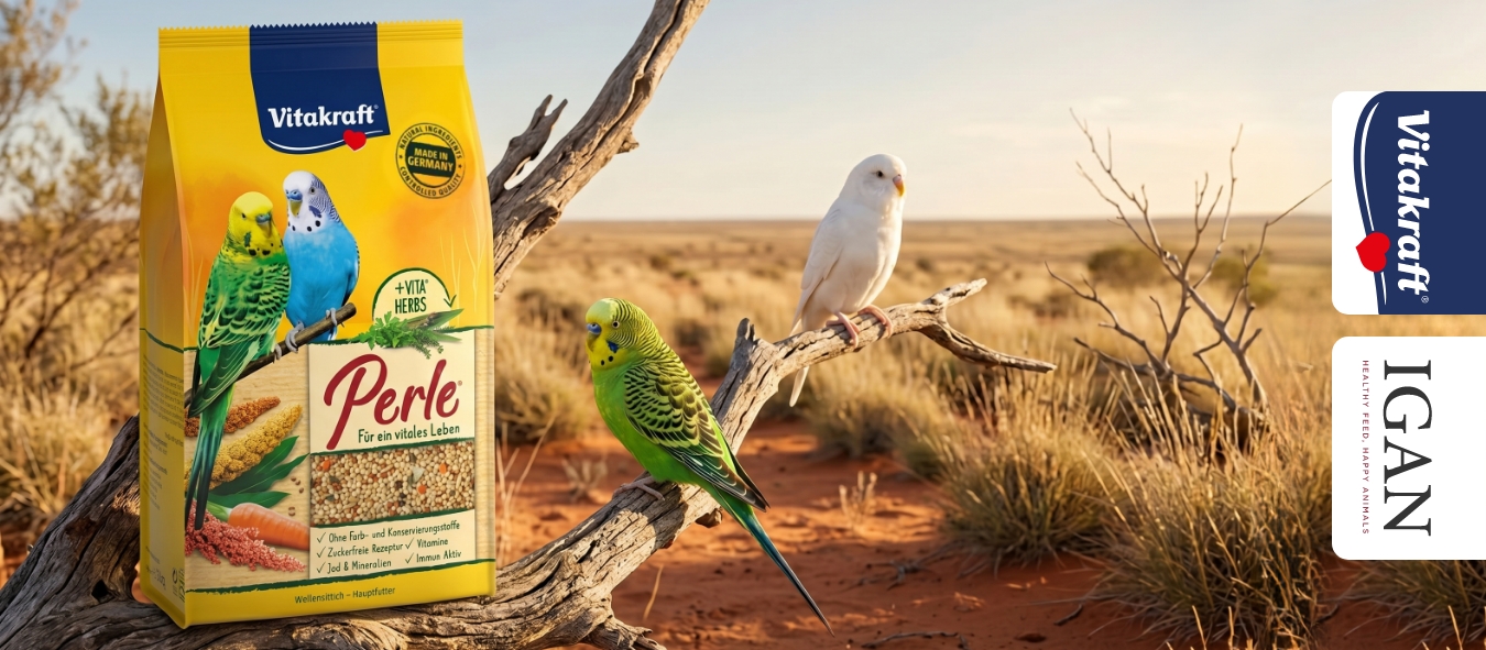 Описание изображения